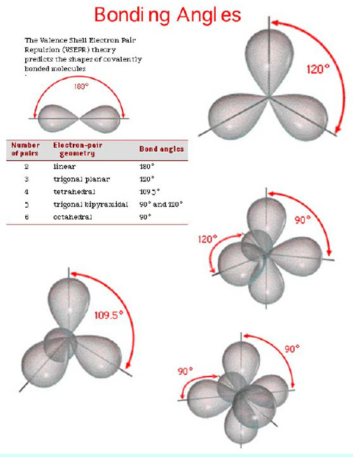 Measure Angles