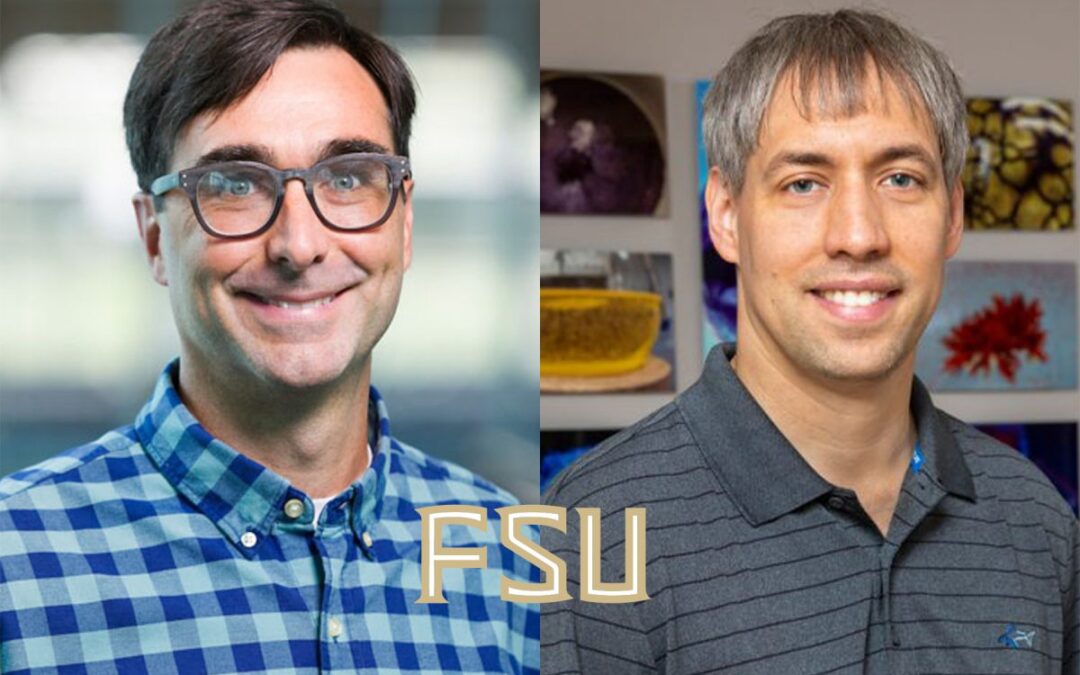 Academy of Science, Engineering and Medicine of Florida names two FSU professors Rising Stars