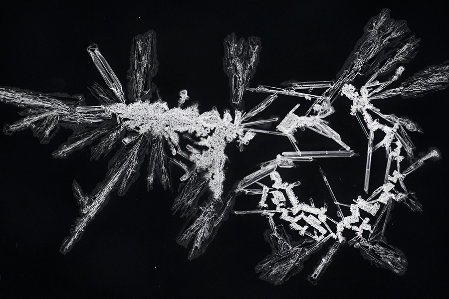 FSU chemists use machine learning and robotics to identify chemical compositions from images